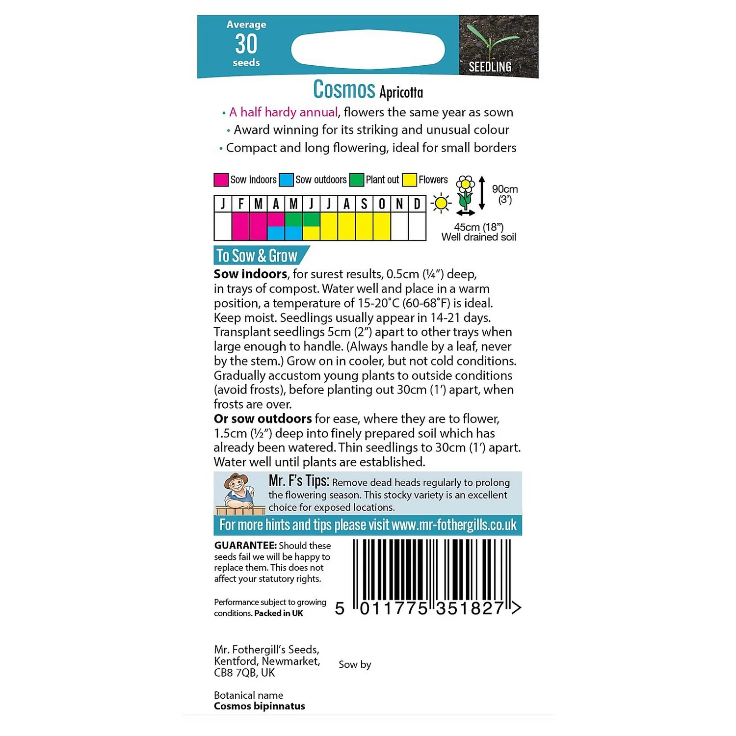 Mr. Fothergill's Cosmos Apricotta Seeds 4 Mr. Fothergill's Cosmos Apricotta Seeds - Image 2