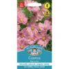 Mr. Fothergill's Cosmos Apricotta Seeds -GreenScape Sales Store 13890258 6234971031617024