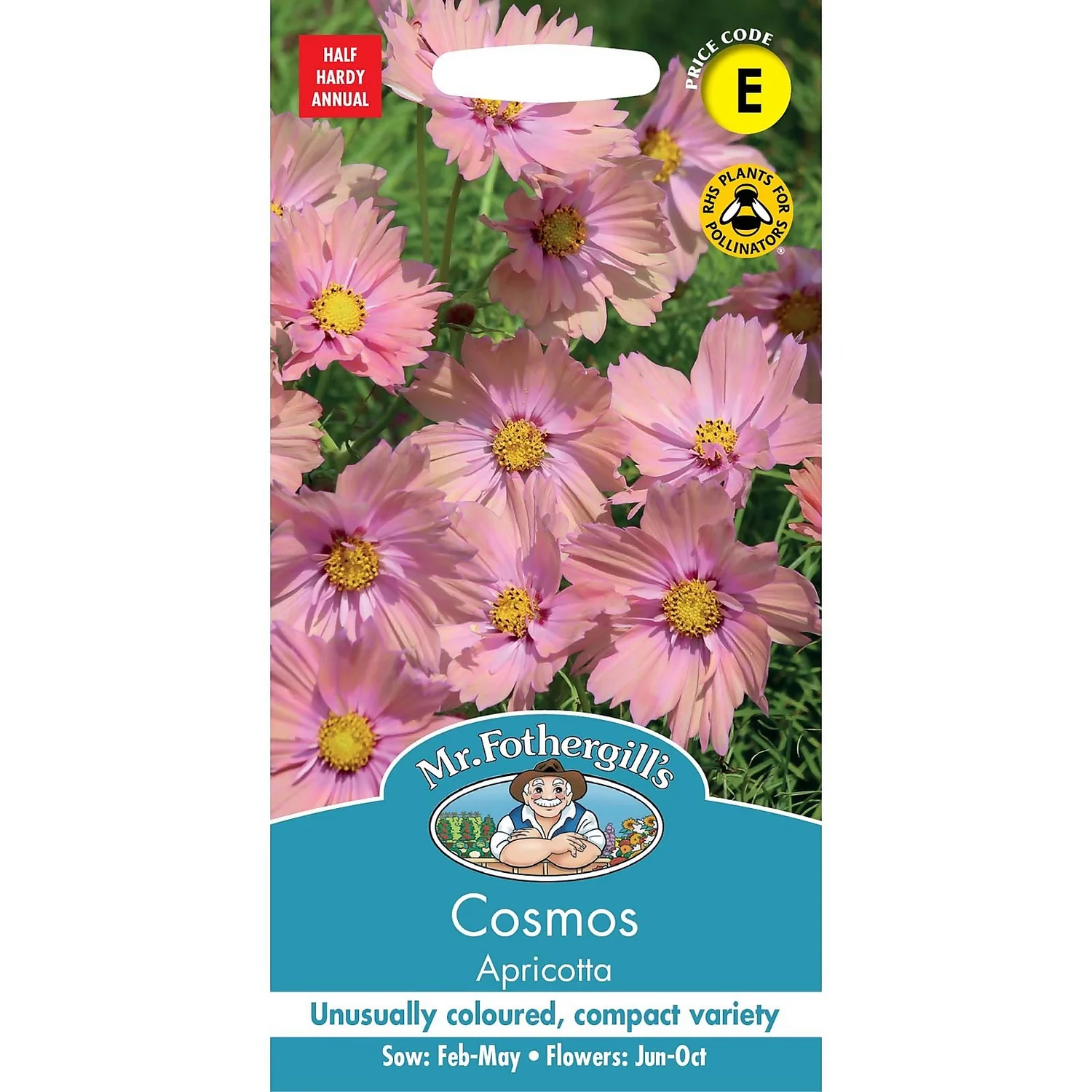 Mr. Fothergill's Cosmos Apricotta Seeds 3 Mr. Fothergill's Cosmos Apricotta Seeds