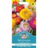 Mr. Fothergill's Helichrysum Strawflower Mix Seeds -GreenScape Sales Store 13890259 1484971031372404