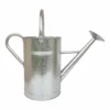 Galvanized Watering Can - 9L -GreenScape Sales Store 13976731 1484993048165425