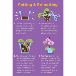 Westland Orchid Potting Mix Peat Free 8L 7 Westland Orchid Potting Mix Peat Free 8L -GreenScape Sales Store 14013784 4815003754410304