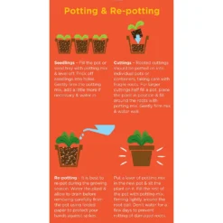 Westland Cacti & Succulent Potting Mix Peat Free 4L -GreenScape Sales Store 14013786 1245003754031248