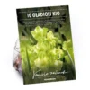 Gladiolus Kio -GreenScape Sales Store 14194646 1415015428836129