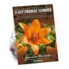 Lilium Orange Summer 2 Lilium Orange Summer -GreenScape Sales Store 14194647 2695015428837869