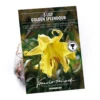 Lillium Golden Splendour -GreenScape Sales Store 14194648 1145015428836123