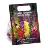 Gladiolus Bright Mixed -GreenScape Sales Store 14194651 2865015428864833