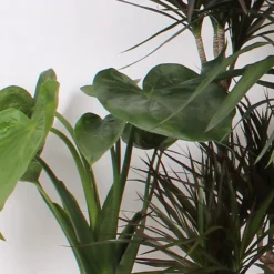 Foliage Mix 21cm -GreenScape Sales Store 14195502 1945014369780770