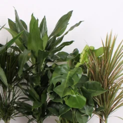 Foliage Mix 21cm -GreenScape Sales Store 14195502 2475014369885221