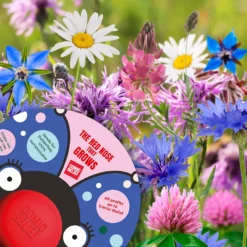 The Red Nose That Grows - The Butterfly -GreenScape Sales Store 14266473 1025028117681030