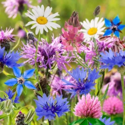 The Red Nose That Grows - The Butterfly -GreenScape Sales Store 14266473 7995028117706023