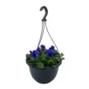 Spring Pansy/Viola Coloured Hang Pot 25cm 2 Spring Pansy/Viola Coloured Hang Pot 25cm -GreenScape Sales Store 14300056 1085047259057622