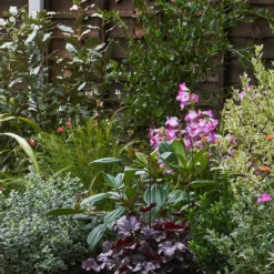 Garden On A Roll Eco Border - 2m X 40cm -GreenScape Sales Store 14300059 7615032495087611