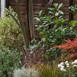 Garden On A Roll Eco Border - 3m X 40cm -GreenScape Sales Store 14300075 9485032495126530