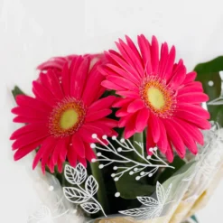 Gift Wrapped Gerbera - 12cm -GreenScape Sales Store 14567807 8365056339892382