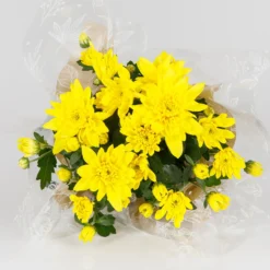 Gift Wrapped Chrysanthemum - 12cm -GreenScape Sales Store 14567809 1145056339573587