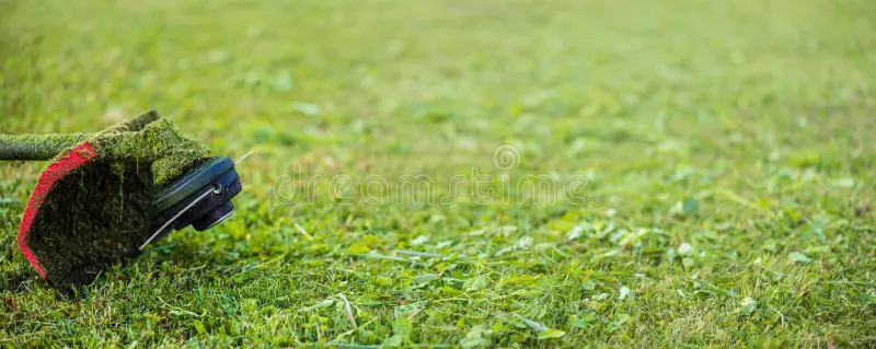 Front Page -GreenScape Sales Store banner1039